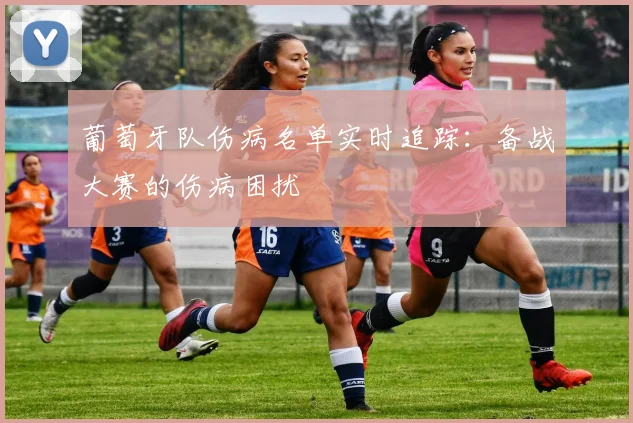 葡萄牙队伤病名单实时追踪:备战大赛的伤病困扰