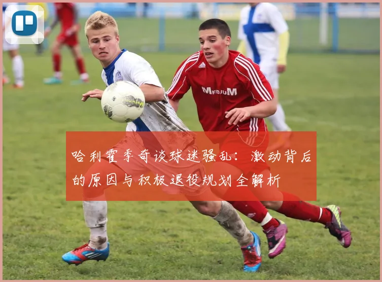 哈利霍季奇谈球迷骚乱：激动背后的原因与积极退役规划全解析
