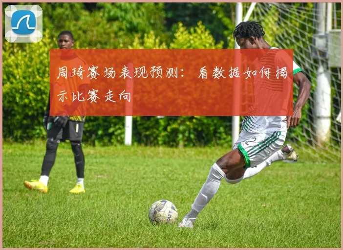 周琦赛场表现预测:看数据如何揭示比赛走向