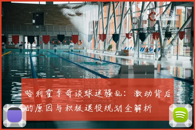 哈利霍季奇谈球迷骚乱：激动背后的原因与积极退役规划全解析